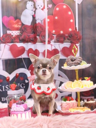 20250223ティアちゃん